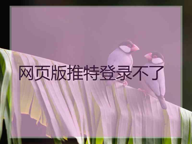 网页版推特登录不了
