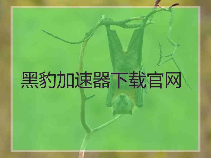 黑豹加速器下载官网