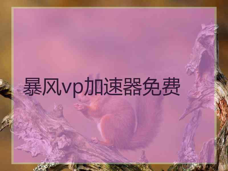 暴风vp加速器免费