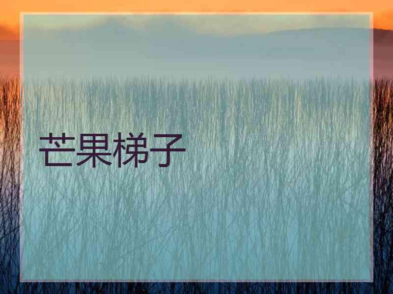 芒果梯子