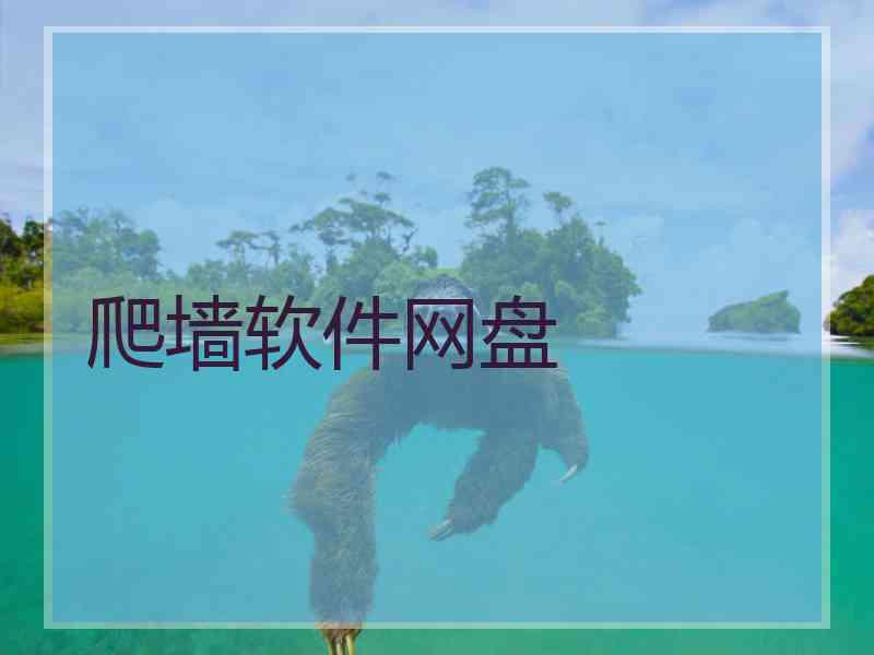 爬墙软件网盘