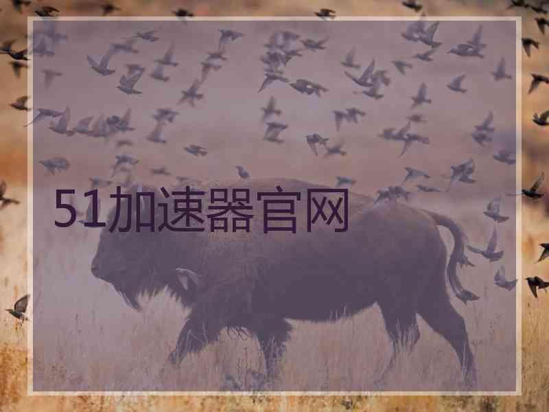 51加速器官网