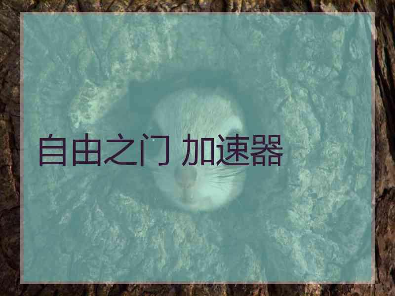 自由之门 加速器