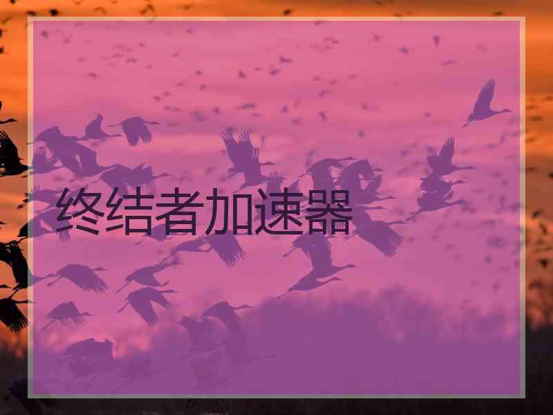 终结者加速器