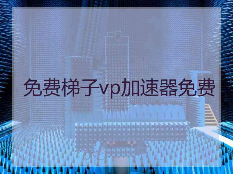 免费梯子vp加速器免费