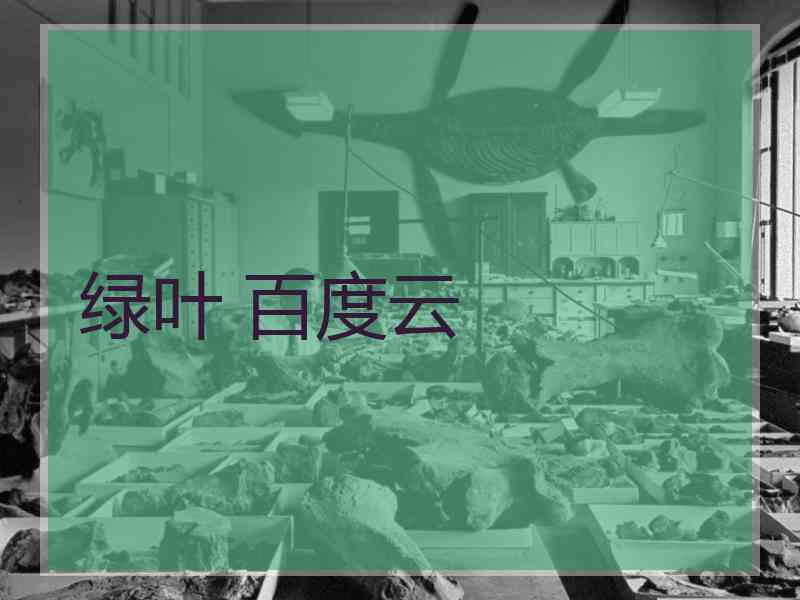 绿叶 百度云