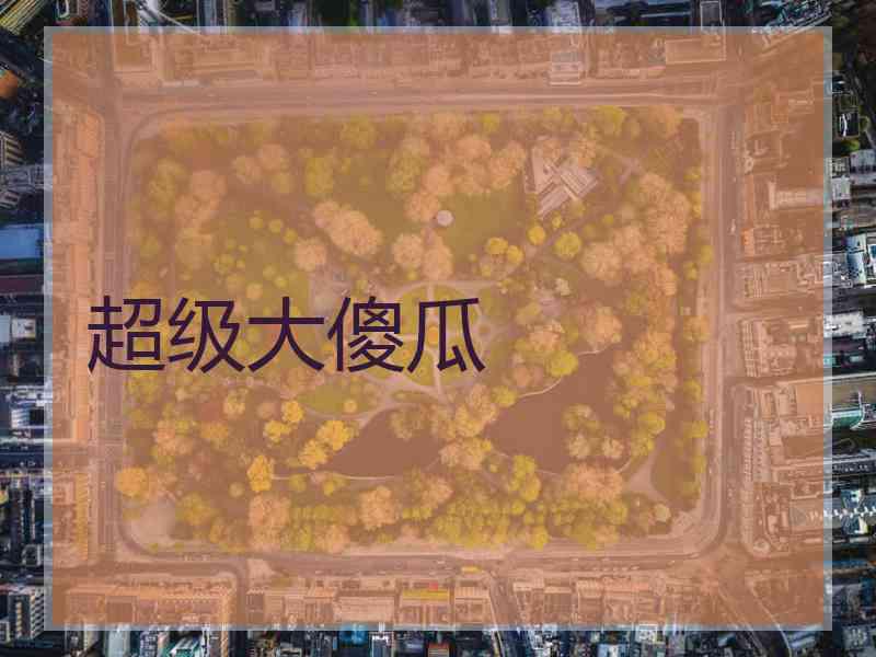 超级大傻瓜