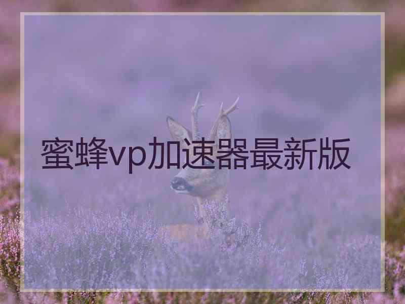 蜜蜂vp加速器最新版