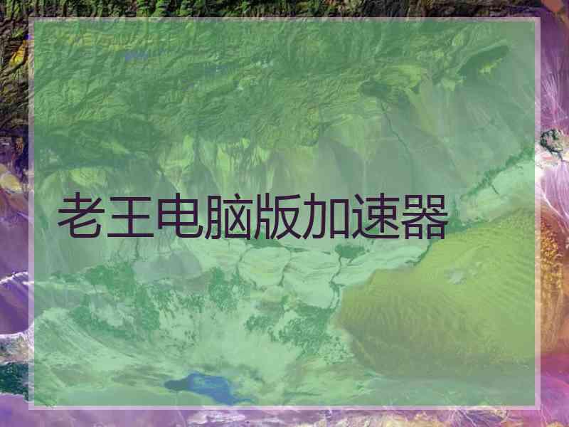 老王电脑版加速器