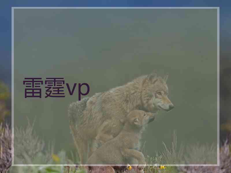 雷霆vp