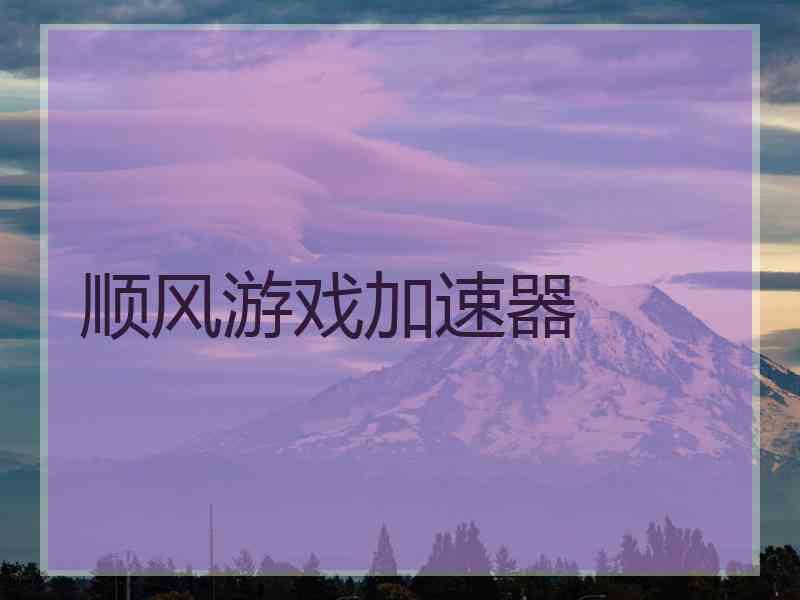 顺风游戏加速器