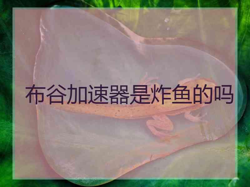 布谷加速器是炸鱼的吗