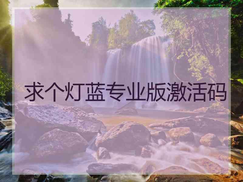 求个灯蓝专业版激活码
