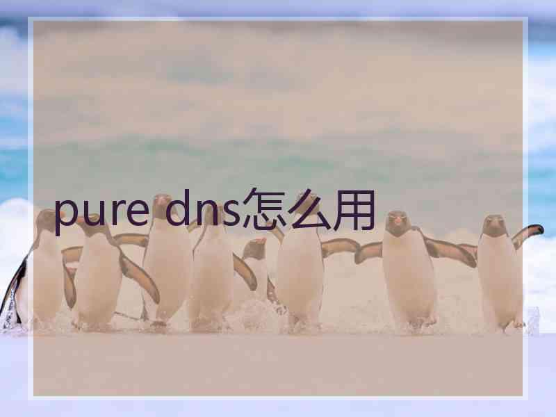 pure dns怎么用