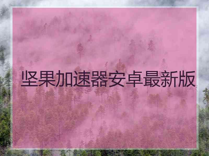 坚果加速器安卓最新版