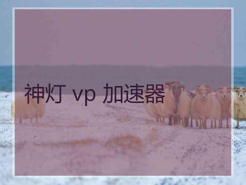 神灯 vp 加速器