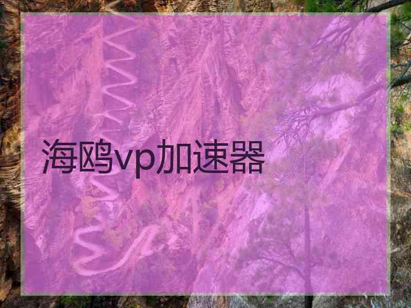 海鸥vp加速器