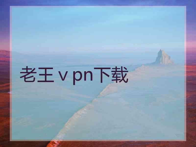 老王ⅴpn下载