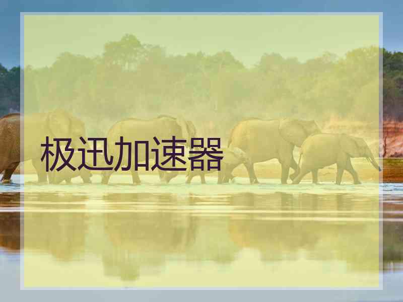 极迅加速器