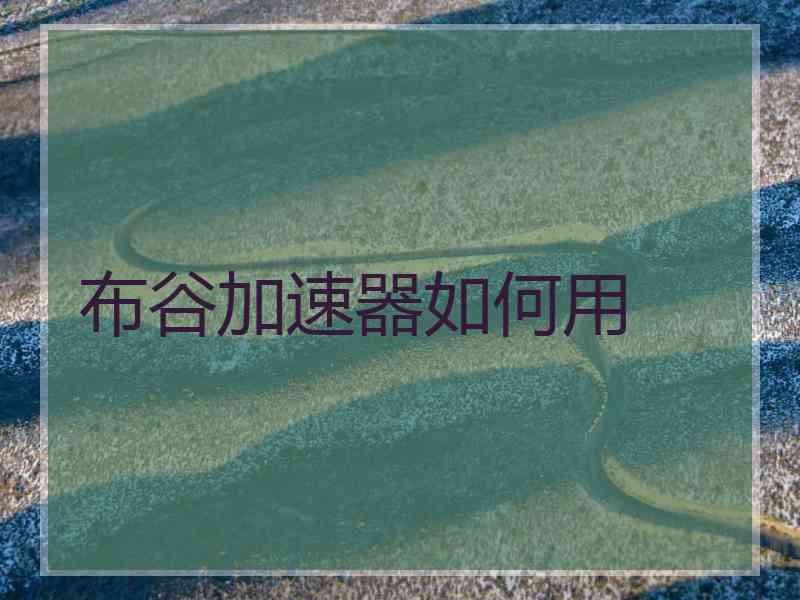 布谷加速器如何用