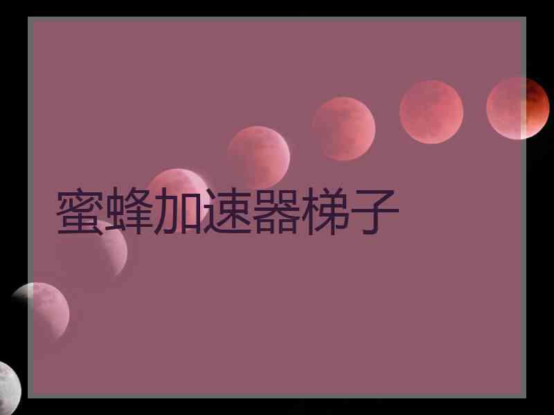 蜜蜂加速器梯子