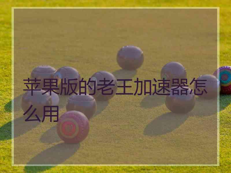苹果版的老王加速器怎么用