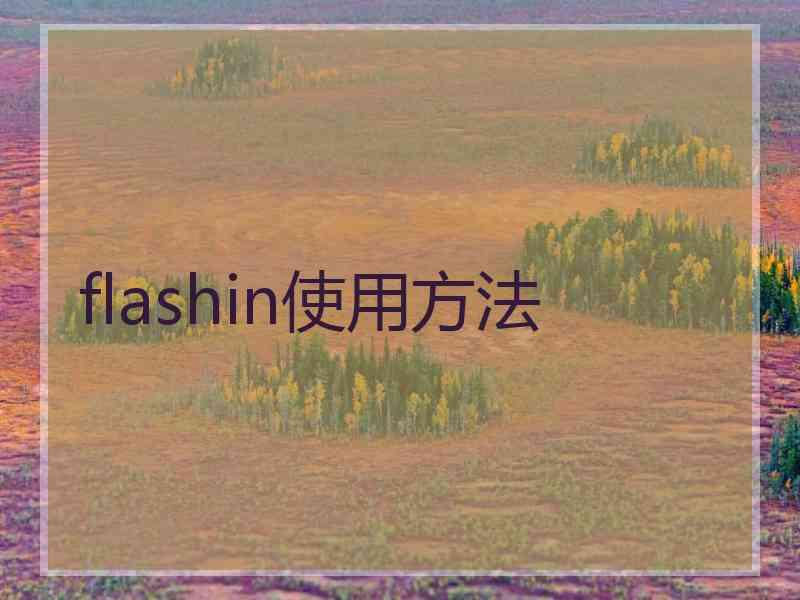flashin使用方法