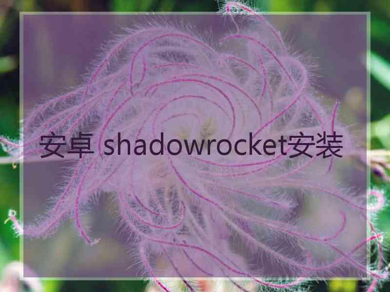 安卓 shadowrocket安装