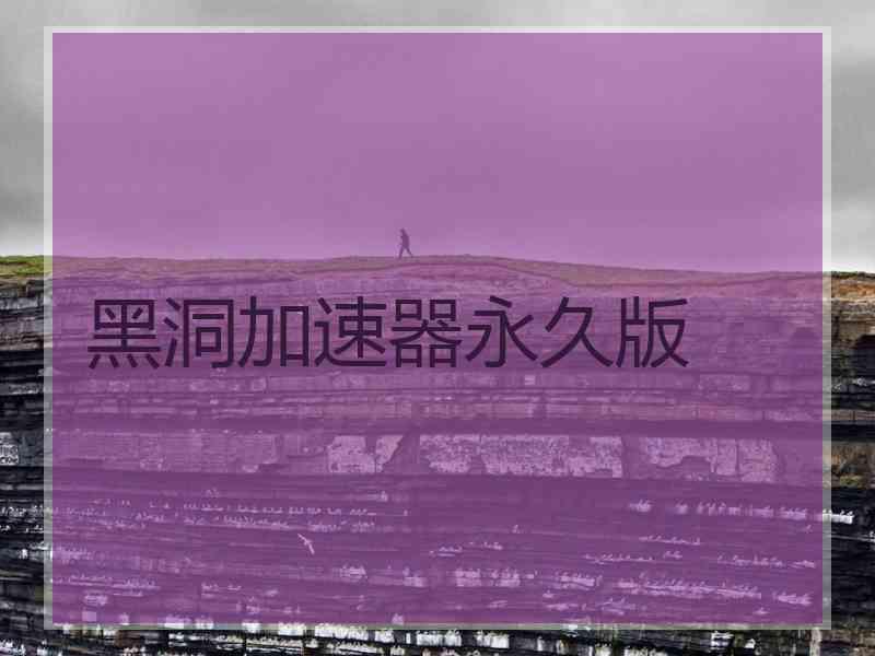黑洞加速器永久版