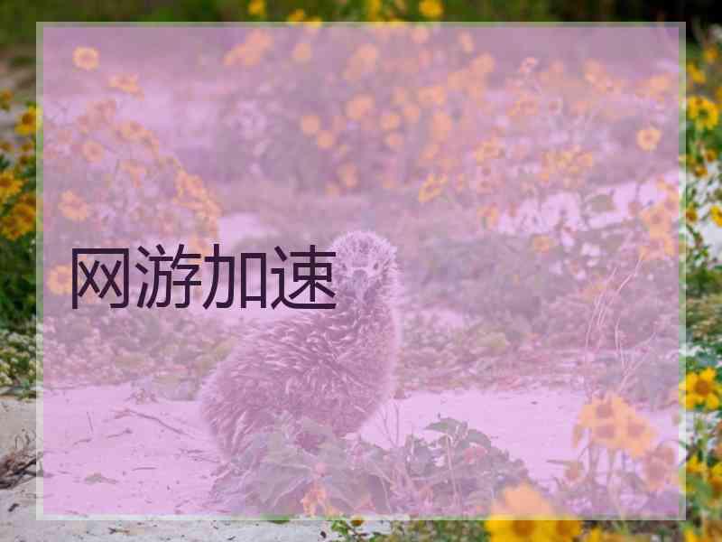 网游加速