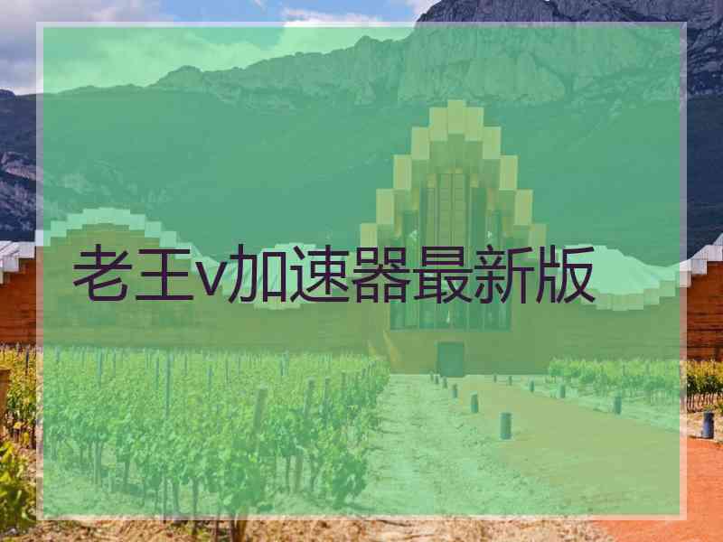 老王v加速器最新版