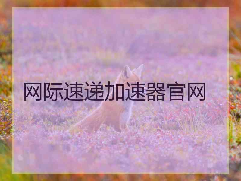 网际速递加速器官网