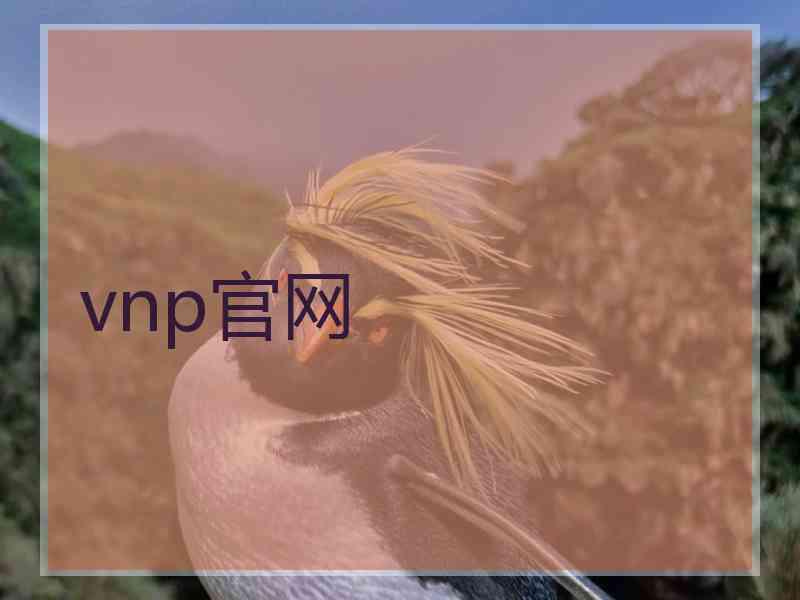 vnp官网