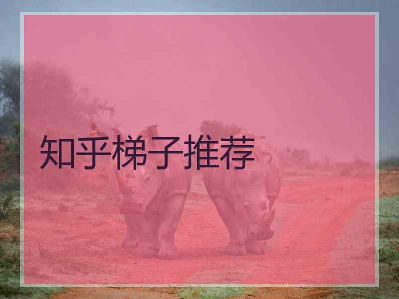 知乎梯子推荐