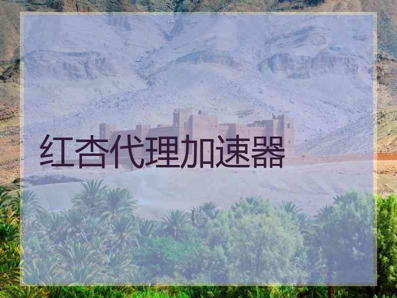 红杏代理加速器