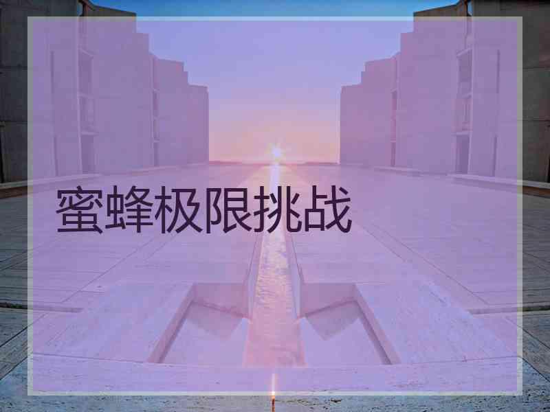 蜜蜂极限挑战