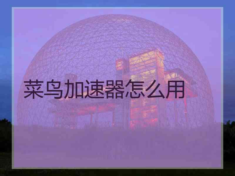 菜鸟加速器怎么用