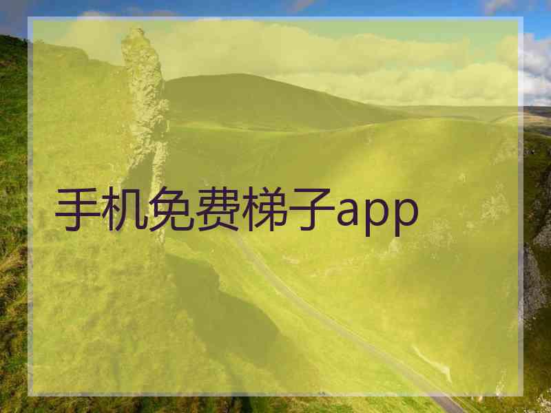 手机免费梯子app