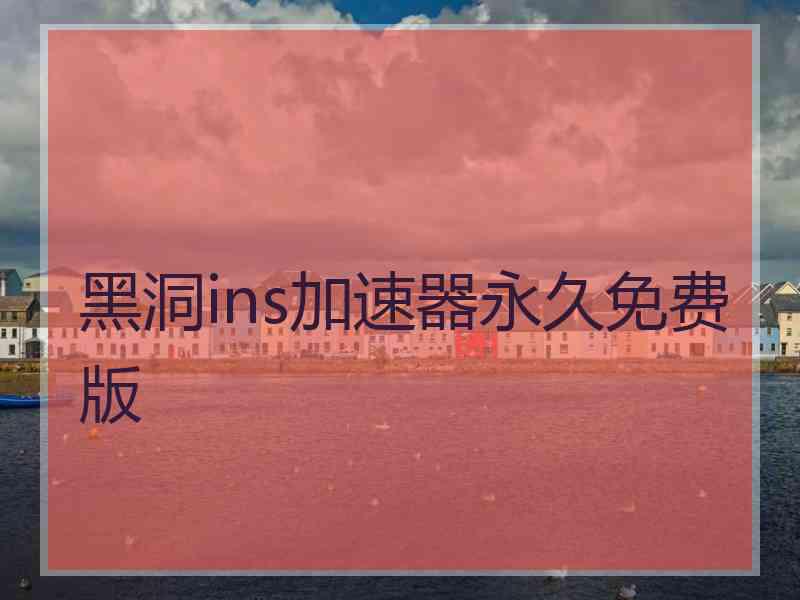 黑洞ins加速器永久免费版
