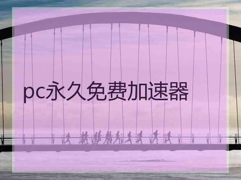 pc永久免费加速器