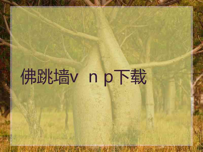 佛跳墙v  n p下载