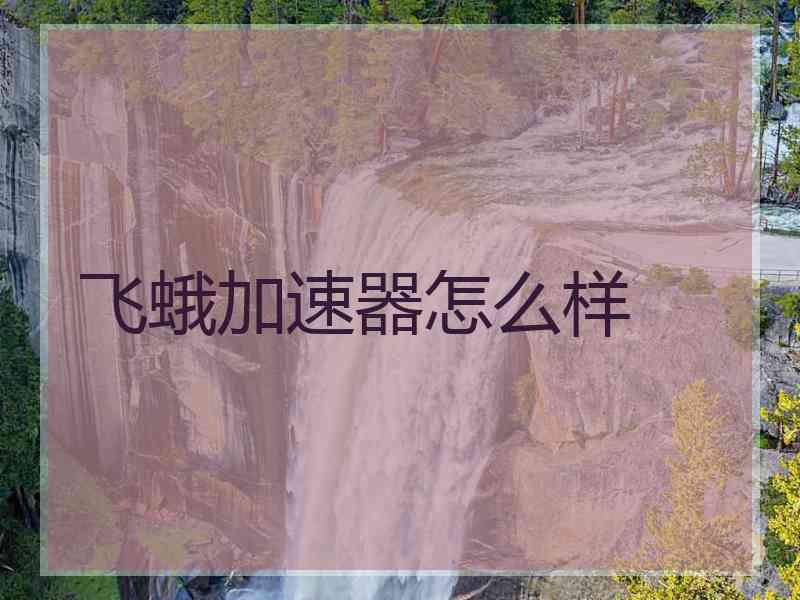 飞蛾加速器怎么样