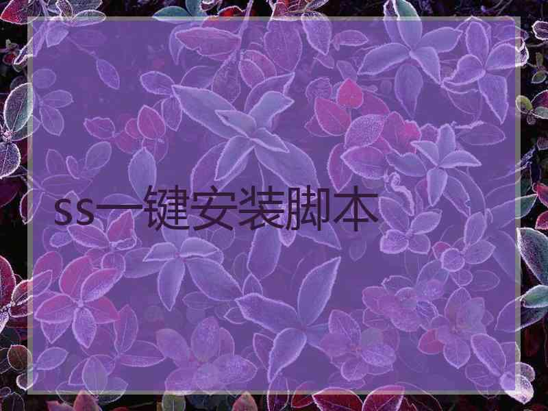ss一键安装脚本