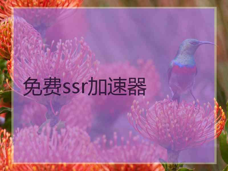 免费ssr加速器