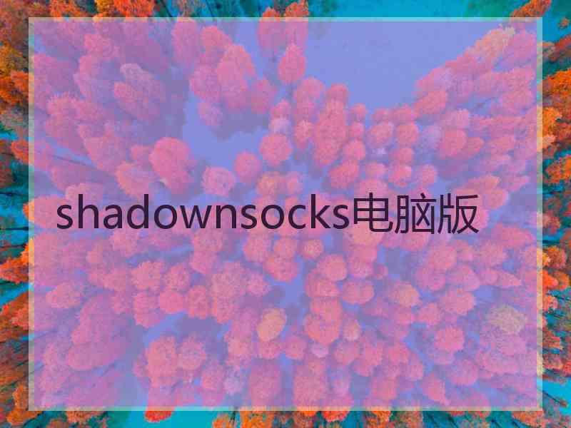 shadownsocks电脑版