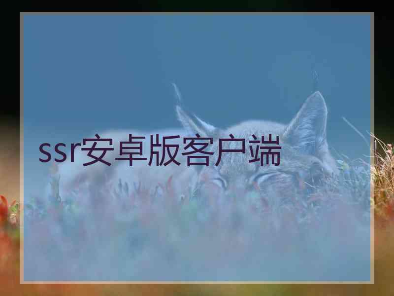 ssr安卓版客户端