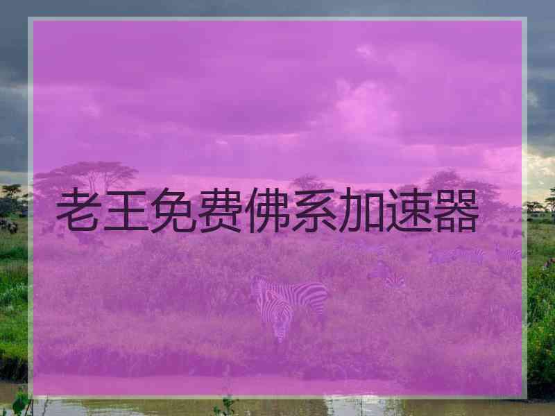 老王免费佛系加速器