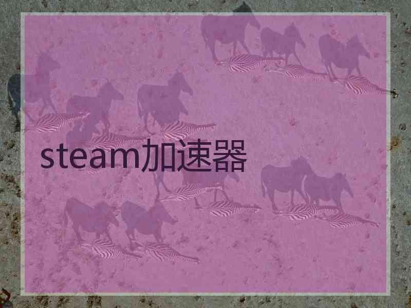 steam加速器