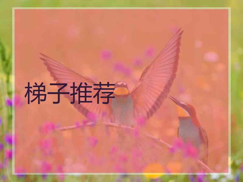 梯子推荐