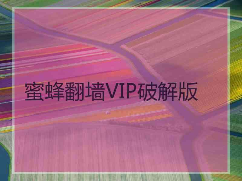 蜜蜂翻墙VIP破解版